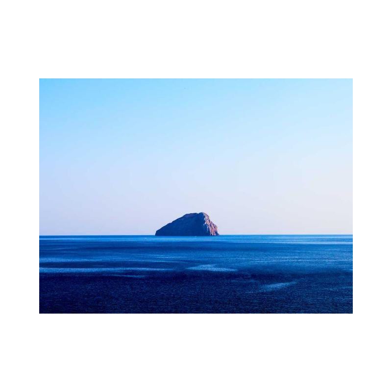 Mediocre Rubber Wallet fr-FR